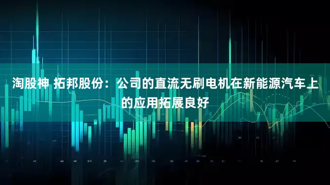 淘股神 拓邦股份：公司的直流无刷电机在新能源汽车上的应用拓展良好