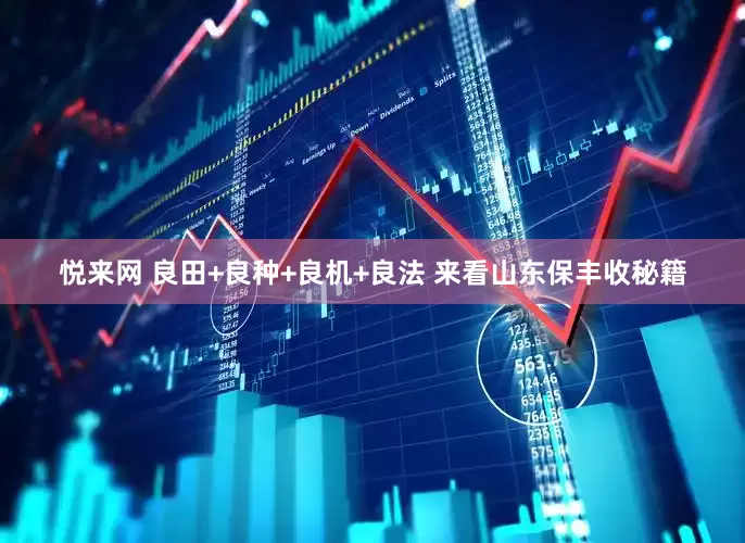 悦来网 良田+良种+良机+良法 来看山东保丰收秘籍
