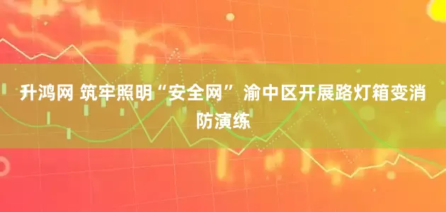 升鸿网 筑牢照明“安全网” 渝中区开展路灯箱变消防演练
