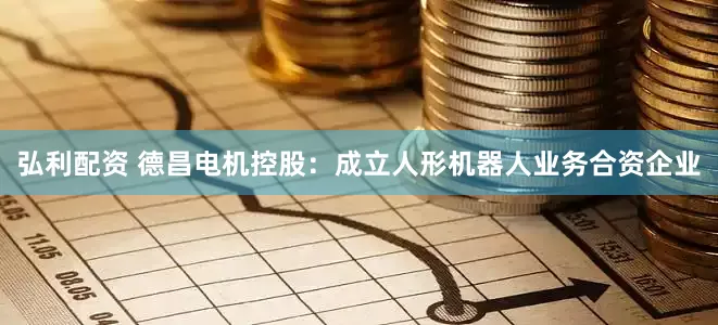 弘利配资 德昌电机控股：成立人形机器人业务合资企业